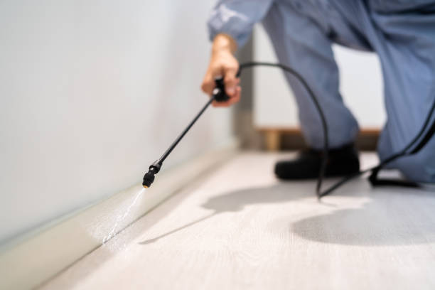 Licensed Cockroach Control service in Smithton, IL - Nex Pest Control