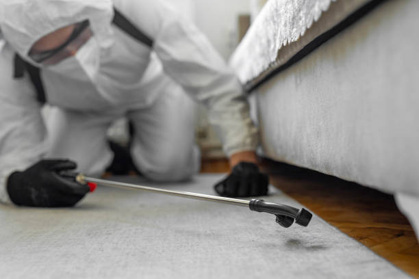 Professional Cockroach Control technician working in Smithton, IL