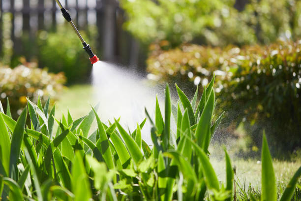 24/7 Emergency Cockroach Control experts in Smithton, IL