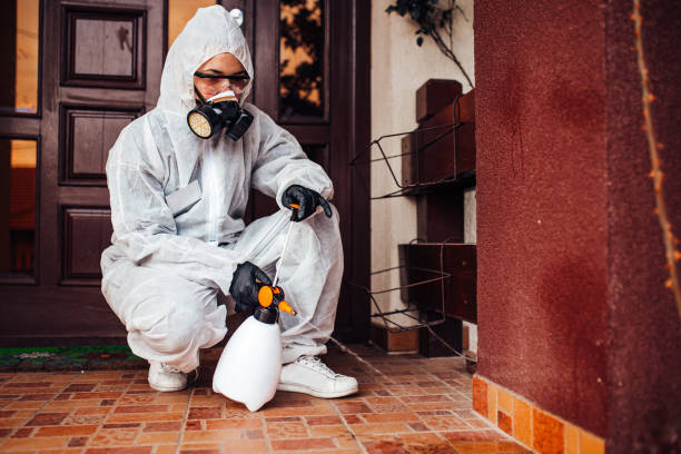 Reliable Cockroach Control contractor in Smithton, IL by Nex Pest Control